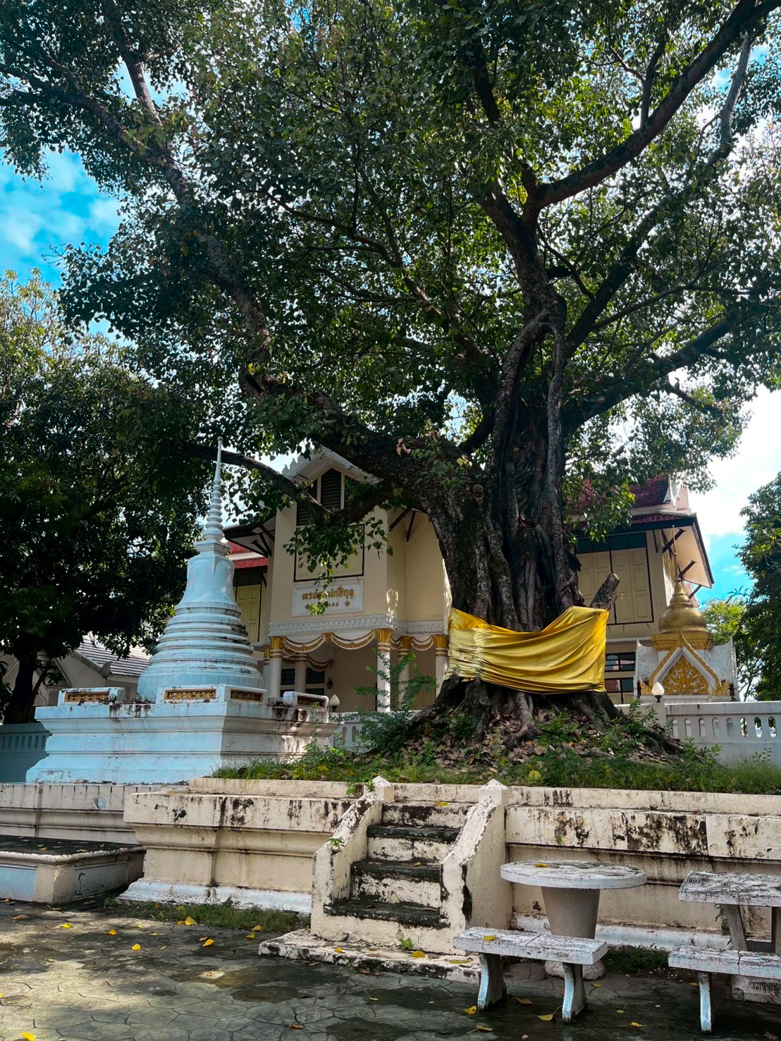 เจดีย์ ต้นโพธิ์ พระแท่น
