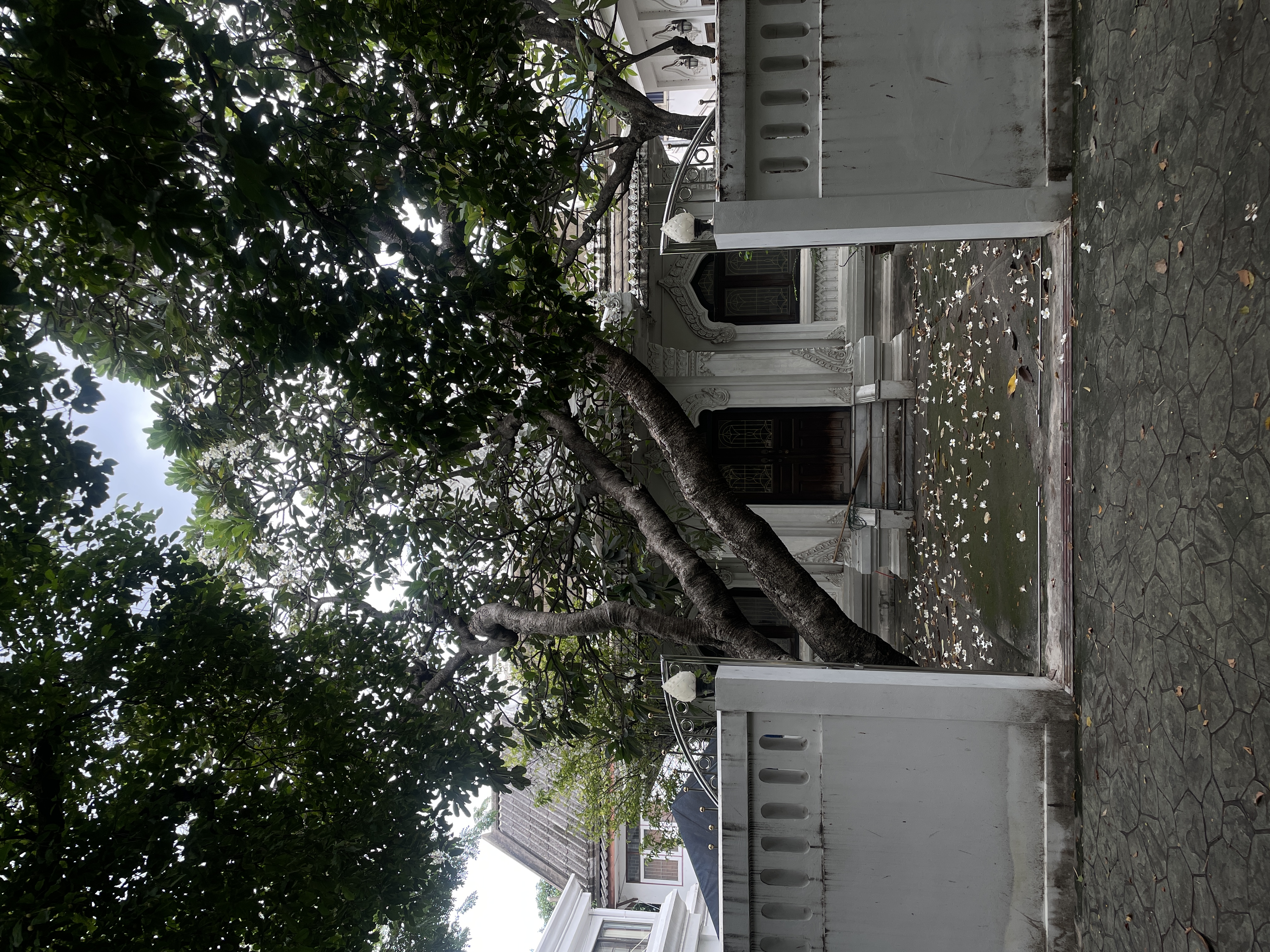 พระวิหาร