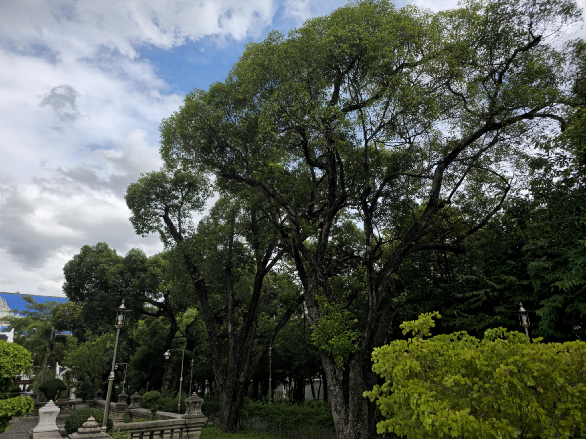 สวนและบริเวณวัด