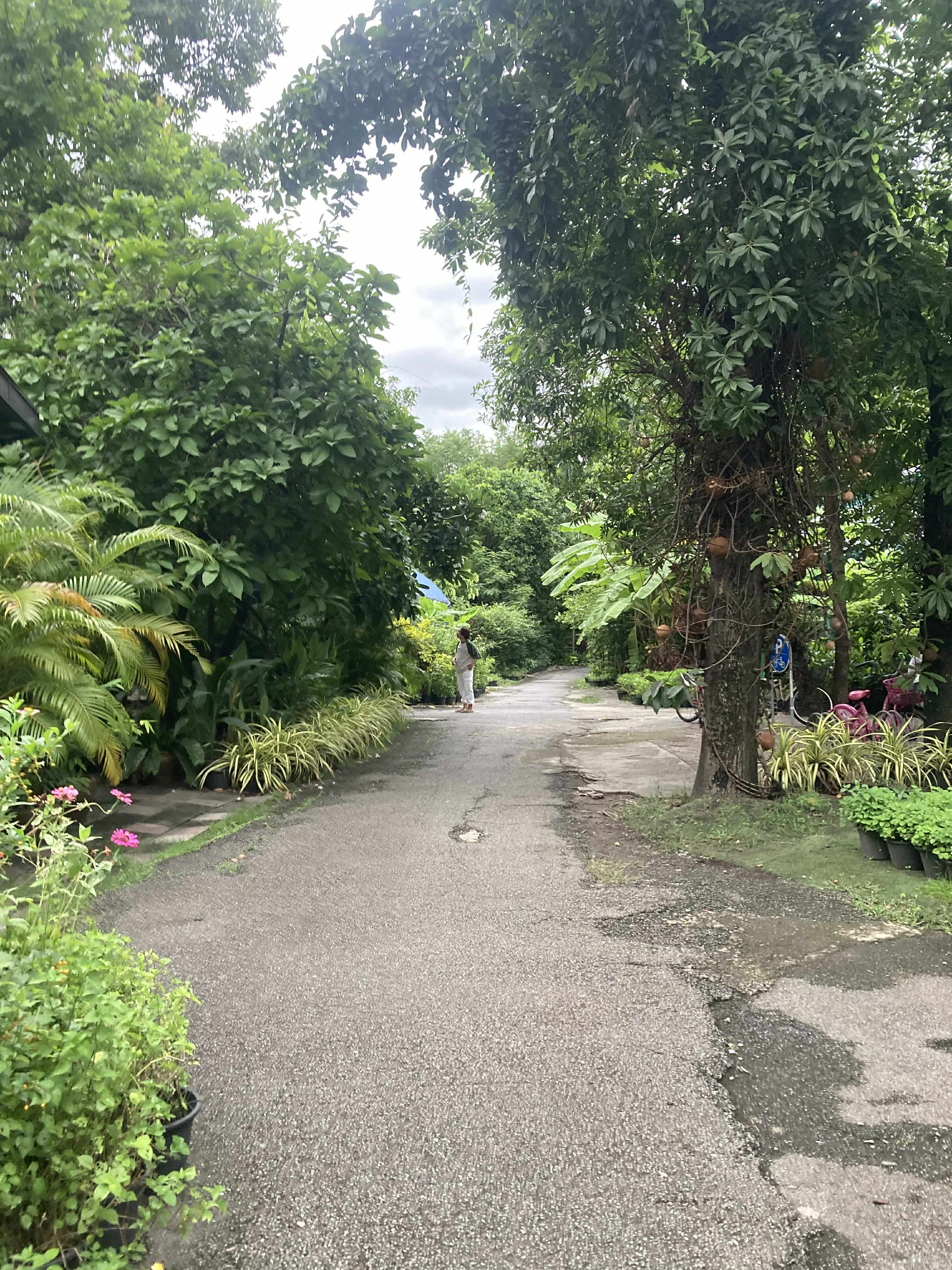 ภาพ 4